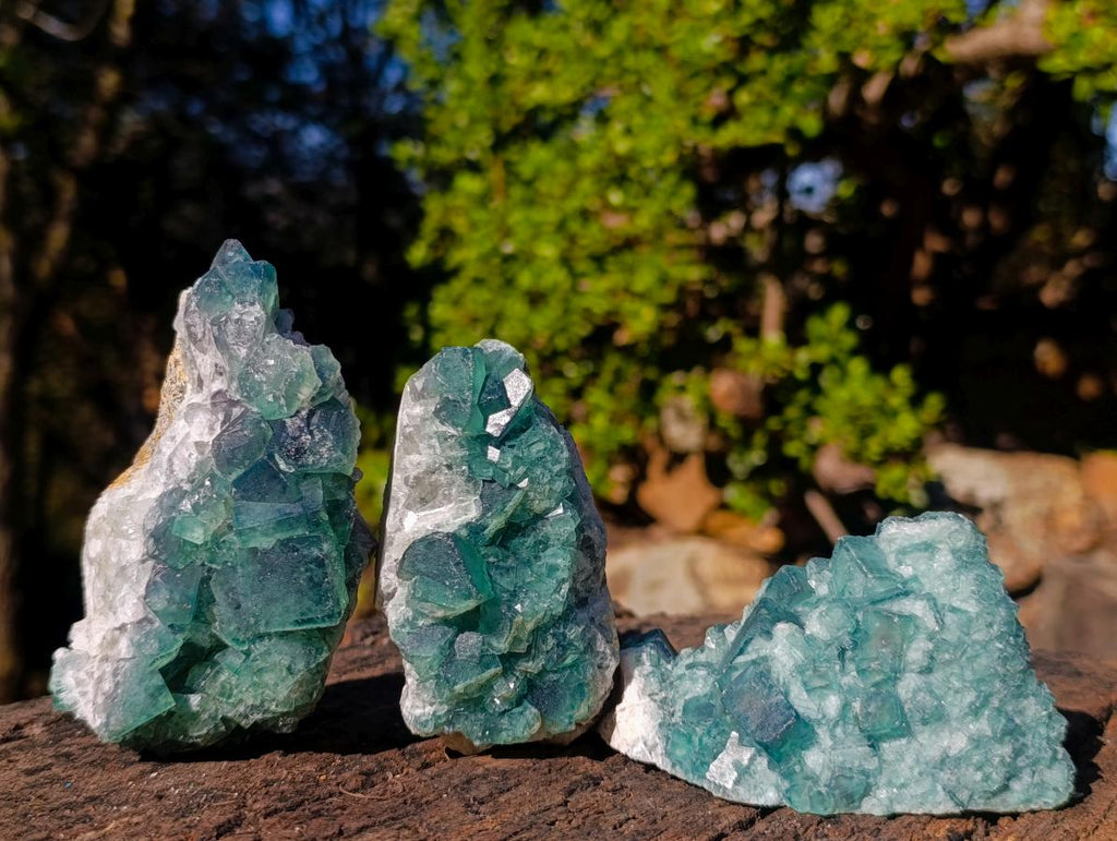 Natural Green Cubic Fluorite Specimens x 6 From Mandrosonoro, Madagascar - Toprock Gemstones and Minerals 