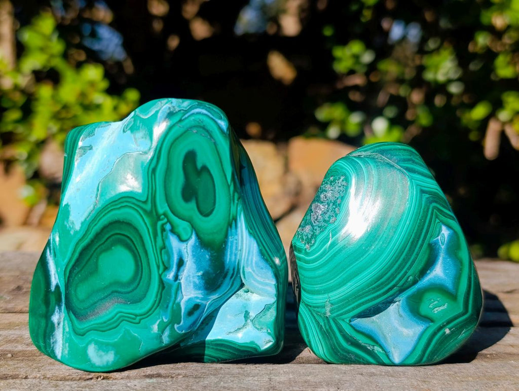 Polished Malacolla Free Forms x 6 From Kulukuluku, Congo - Toprock Gemstones and Minerals 