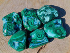 Polished Malacolla Free Forms x 6 From Kulukuluku, Congo - Toprock Gemstones and Minerals 