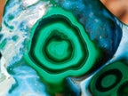 Polished Malacolla Free Forms x 6 From Kulukuluku, Congo - Toprock Gemstones and Minerals 