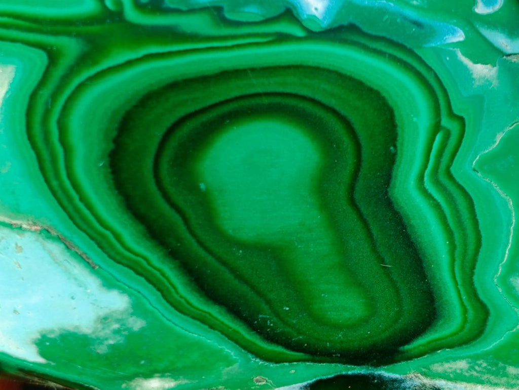 Polished Malacolla Free Forms x 6 From Kulukuluku, Congo - Toprock Gemstones and Minerals 