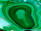 Polished Malacolla Free Forms x 6 From Kulukuluku, Congo - Toprock Gemstones and Minerals 