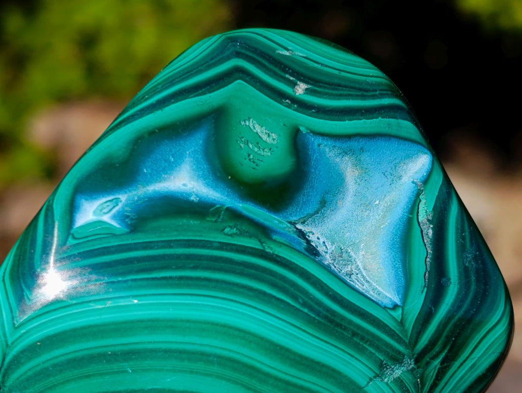 Polished Malacolla Free Forms x 6 From Kulukuluku, Congo - Toprock Gemstones and Minerals 