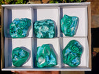 Polished Malacolla Free Forms x 6 From Kulukuluku, Congo - Toprock Gemstones and Minerals 