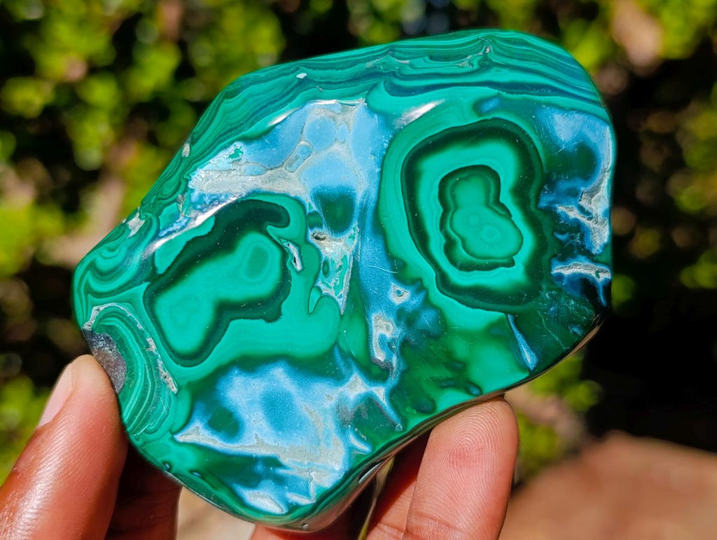 Polished Malacolla Free Forms x 6 From Kulukuluku, Congo - Toprock Gemstones and Minerals 