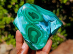 Polished Malacolla Free Forms x 6 From Kulukuluku, Congo - Toprock Gemstones and Minerals 