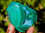 Polished Malacolla Free Forms x 6 From Kulukuluku, Congo - Toprock Gemstones and Minerals 
