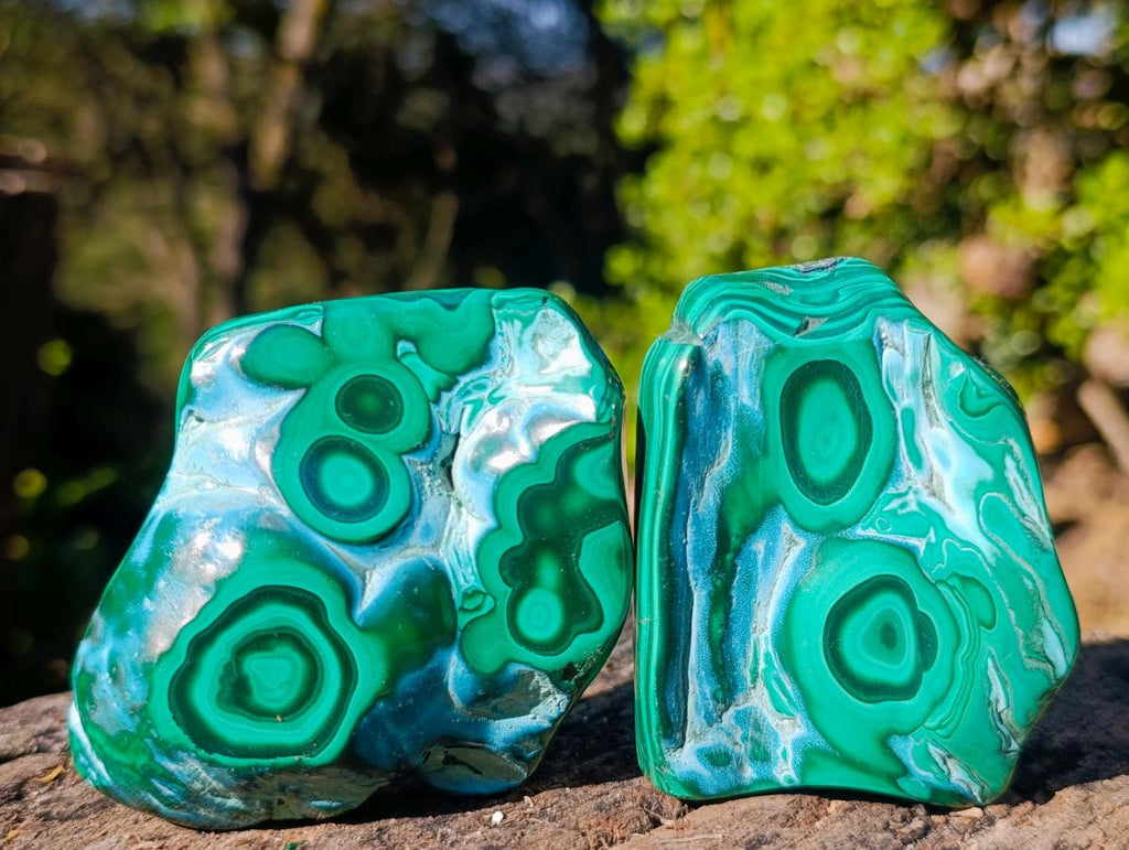 Polished Malacolla Free Forms x 6 From Kulukuluku, Congo - Toprock Gemstones and Minerals 