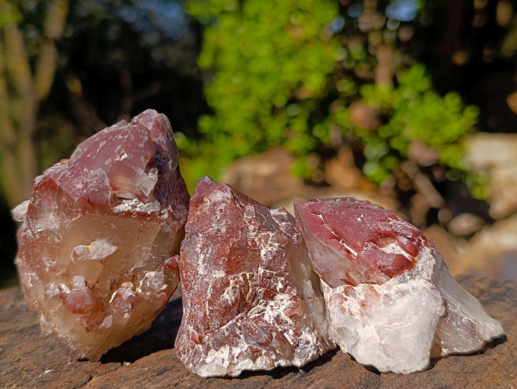 Natural Red Hematoid Quartz Crystals and Clusters x 24 From Karoi, Zimbabwe - Toprock Gemstones and Minerals 