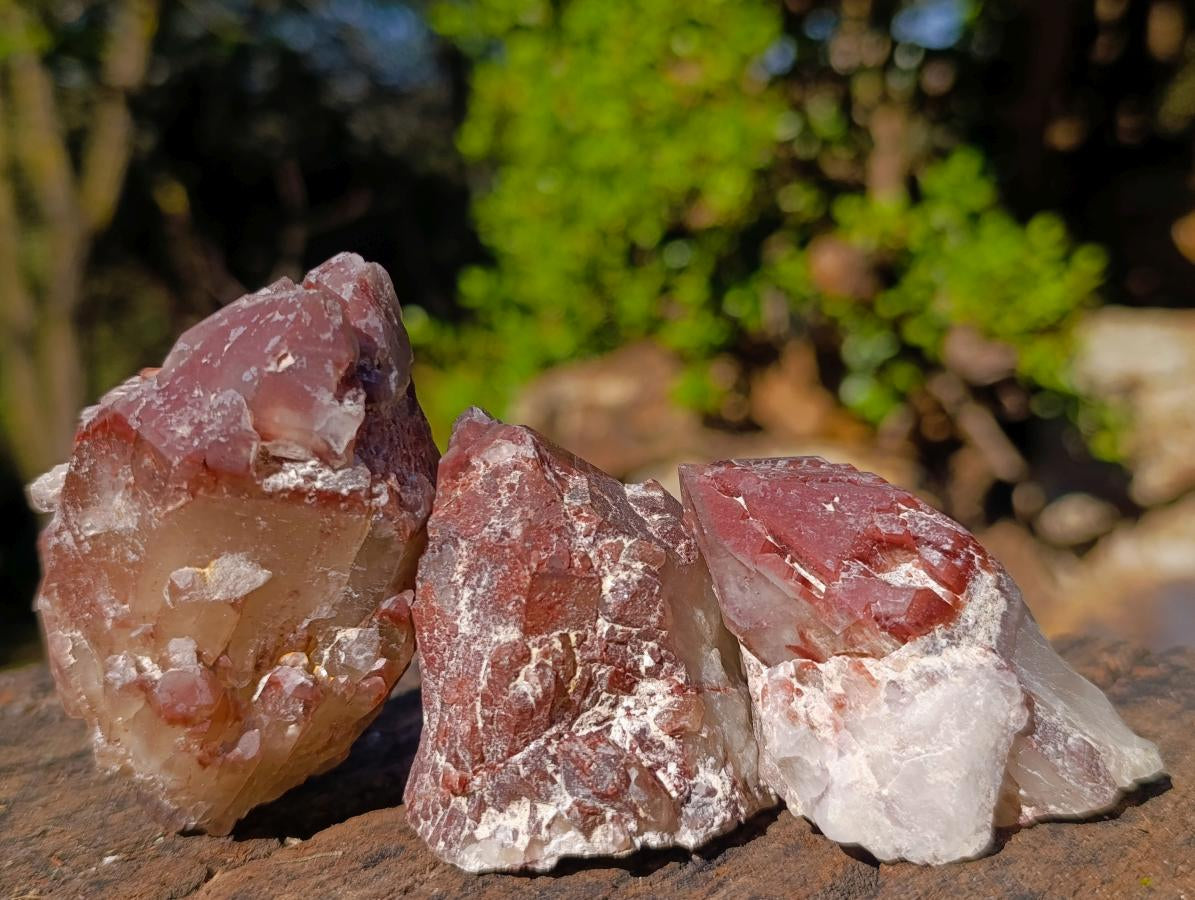 Natural Red Hematoid Quartz Crystals and Clusters x 24 From Karoi, Zimbabwe - Toprock Gemstones and Minerals 