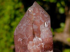 Natural Red Hematoid Quartz Crystals and Clusters x 24 From Karoi, Zimbabwe - Toprock Gemstones and Minerals 