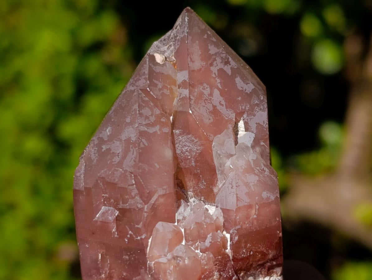 Natural Red Hematoid Quartz Crystals and Clusters x 24 From Karoi, Zimbabwe - Toprock Gemstones and Minerals 