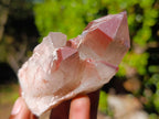 Natural Red Hematoid Quartz Crystals and Clusters x 24 From Karoi, Zimbabwe - Toprock Gemstones and Minerals 