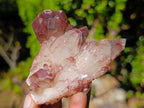 Natural Red Hematoid Quartz Crystals and Clusters x 24 From Karoi, Zimbabwe - Toprock Gemstones and Minerals 