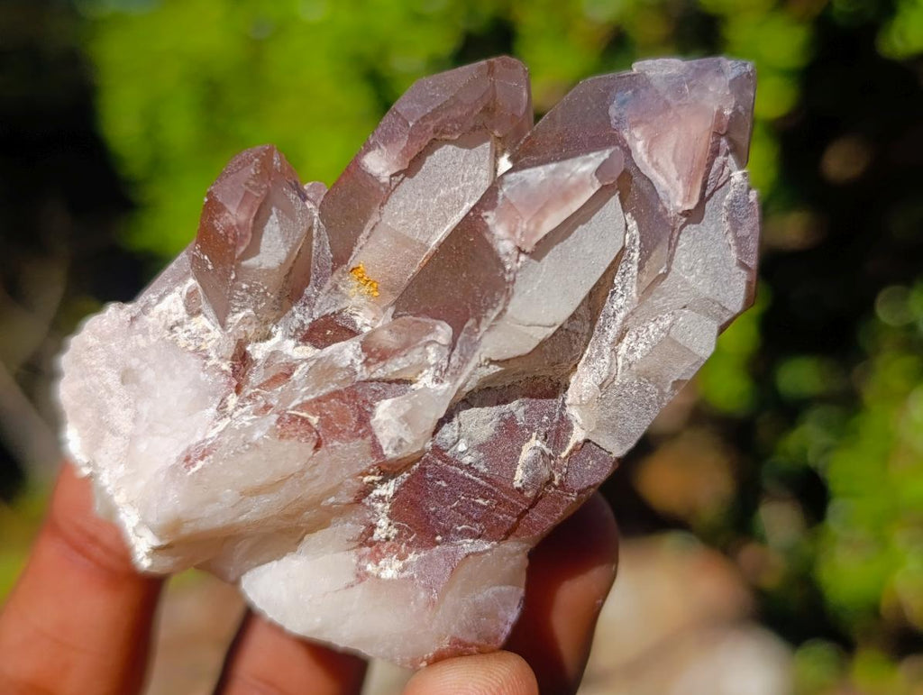 Natural Red Hematoid Quartz Crystals and Clusters x 24 From Karoi, Zimbabwe - Toprock Gemstones and Minerals 