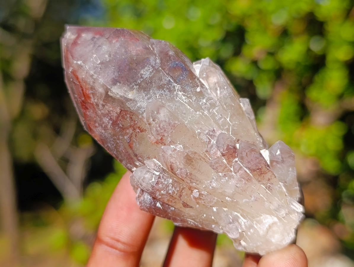 Natural Red Hematoid Quartz Crystals and Clusters x 24 From Karoi, Zimbabwe - Toprock Gemstones and Minerals 