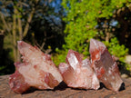 Natural Red Hematoid Quartz Crystals and Clusters x 24 From Karoi, Zimbabwe - Toprock Gemstones and Minerals 
