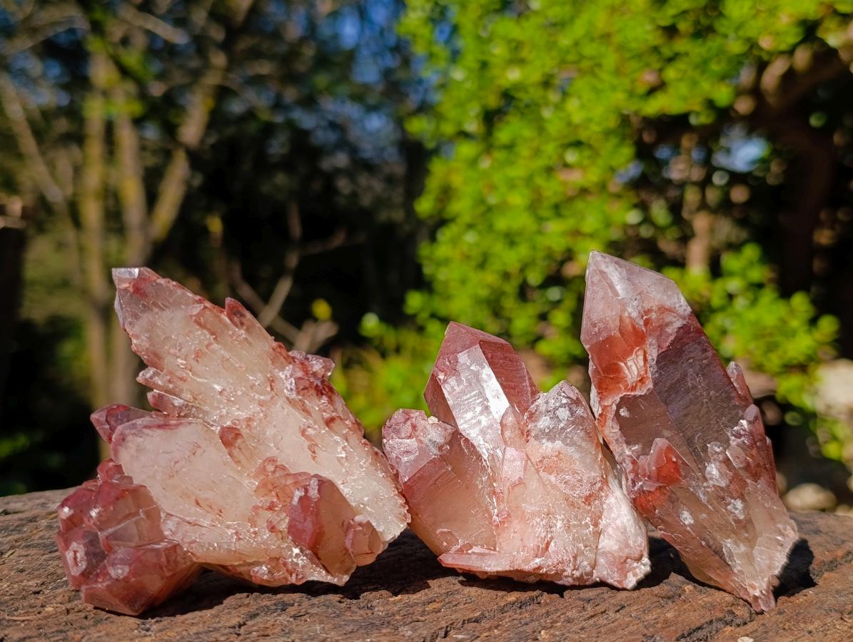 Natural Red Hematoid Quartz Crystals and Clusters x 24 From Karoi, Zimbabwe - Toprock Gemstones and Minerals 