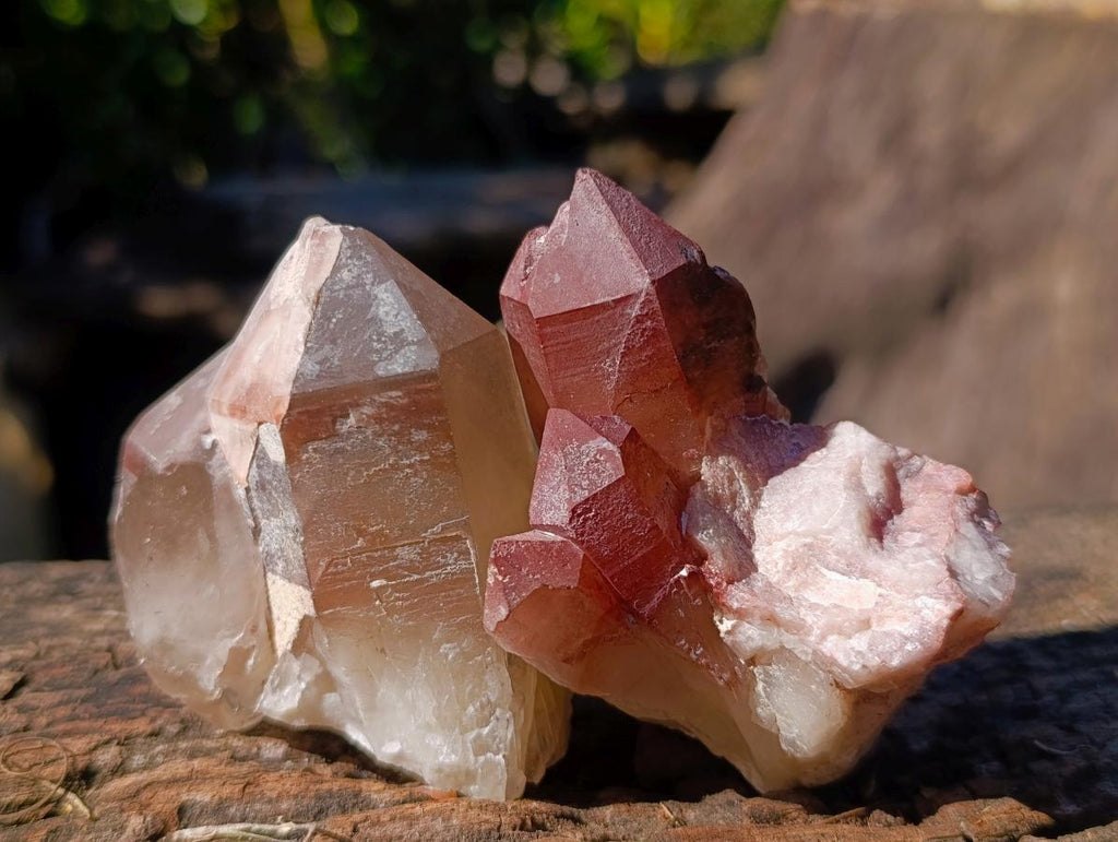 Natural Red Hematoid Quartz Crystals and Clusters x 24 From Karoi, Zimbabwe - Toprock Gemstones and Minerals 