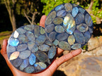 Polished Labradorite Coasters x 6 From Madagascar - Toprock Gemstones and Minerals 