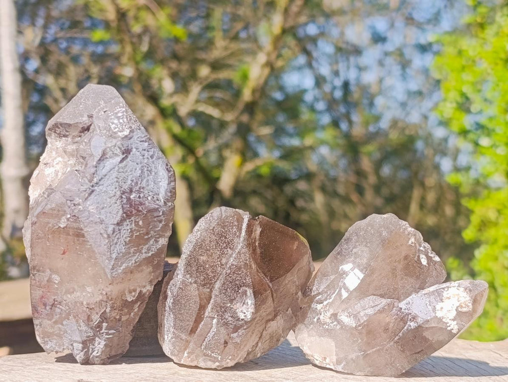 Natural Smokey Quartz Crystals x 13 From Mulanje, Malawi - Toprock Gemstones and Minerals 