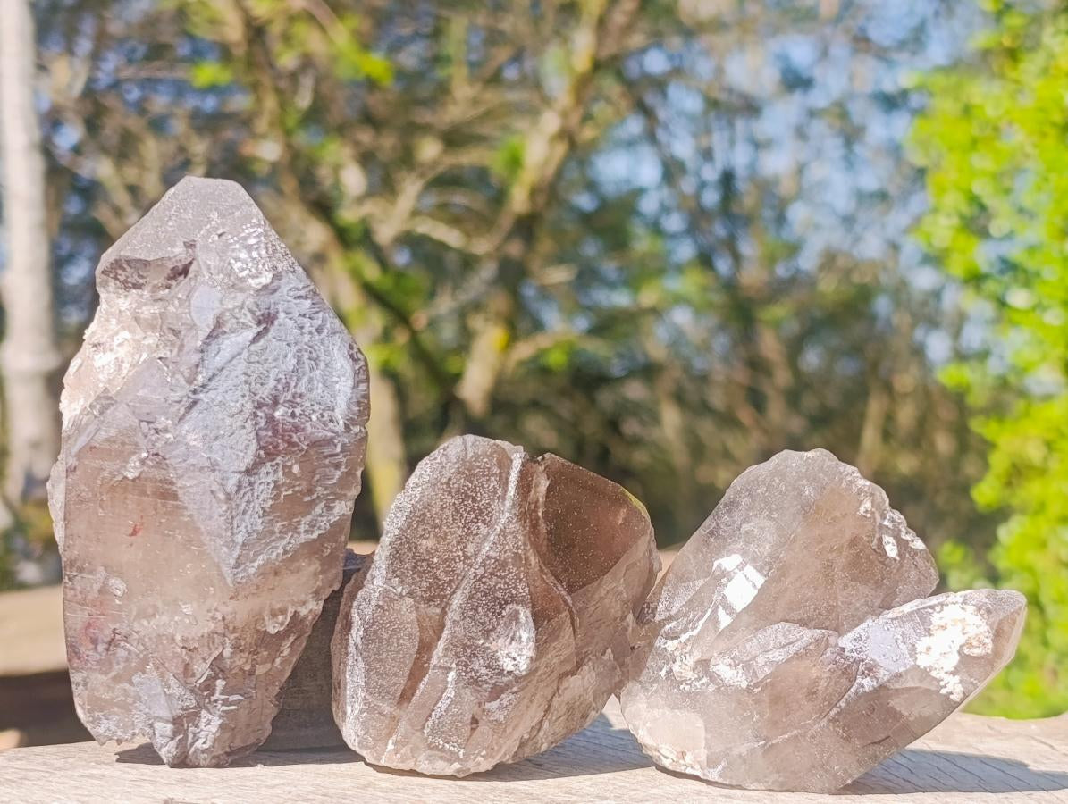 Natural Smokey Quartz Crystals x 13 From Mulanje, Malawi - Toprock Gemstones and Minerals 