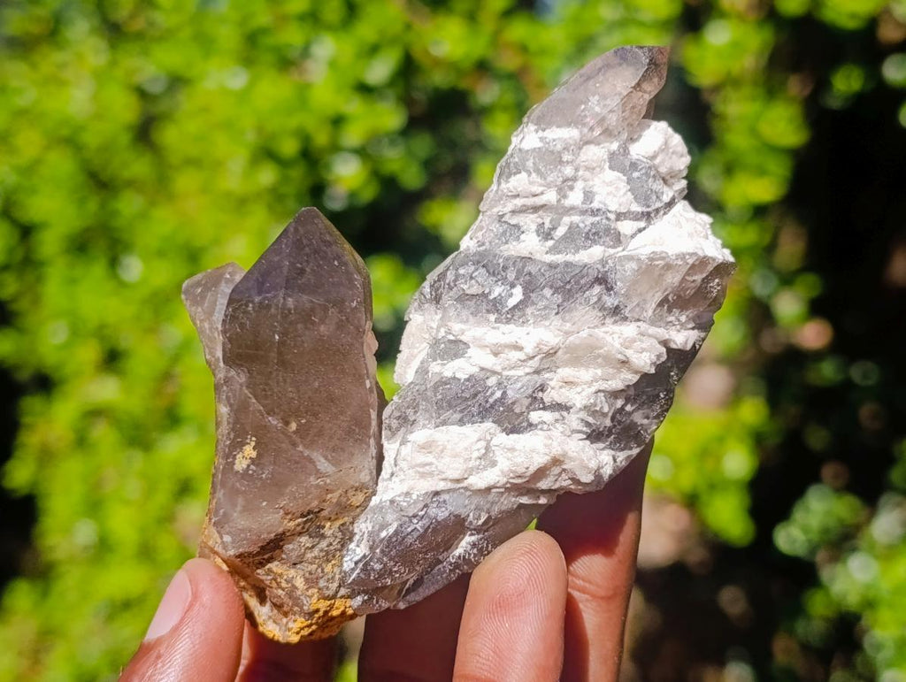 Natural Smokey Quartz Crystals x 13 From Mulanje, Malawi - Toprock Gemstones and Minerals 
