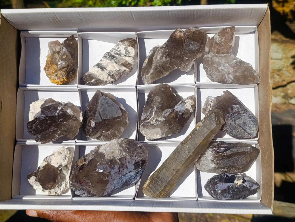 Natural Smokey Quartz Crystals x 13 From Mulanje, Malawi - Toprock Gemstones and Minerals 