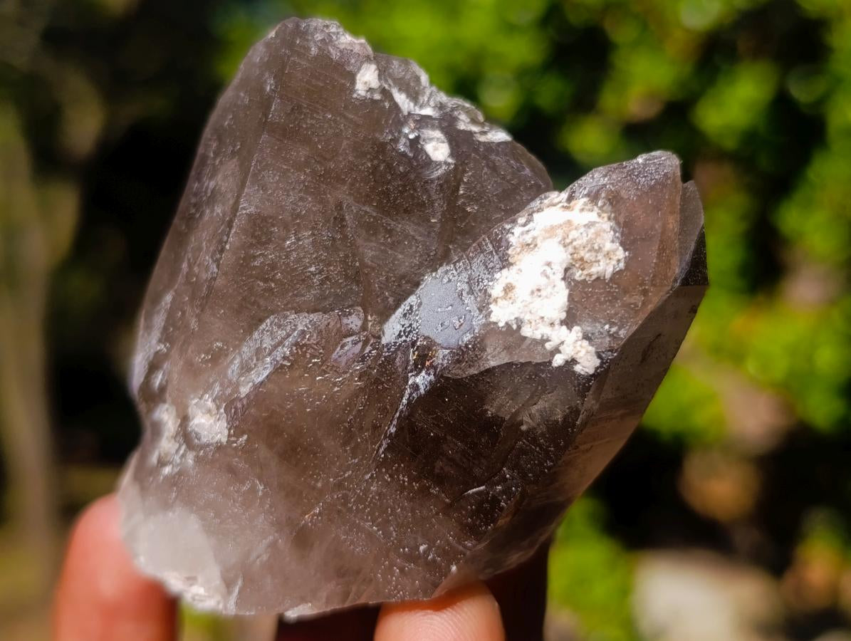 Natural Smokey Quartz Crystals x 13 From Mulanje, Malawi - Toprock Gemstones and Minerals 
