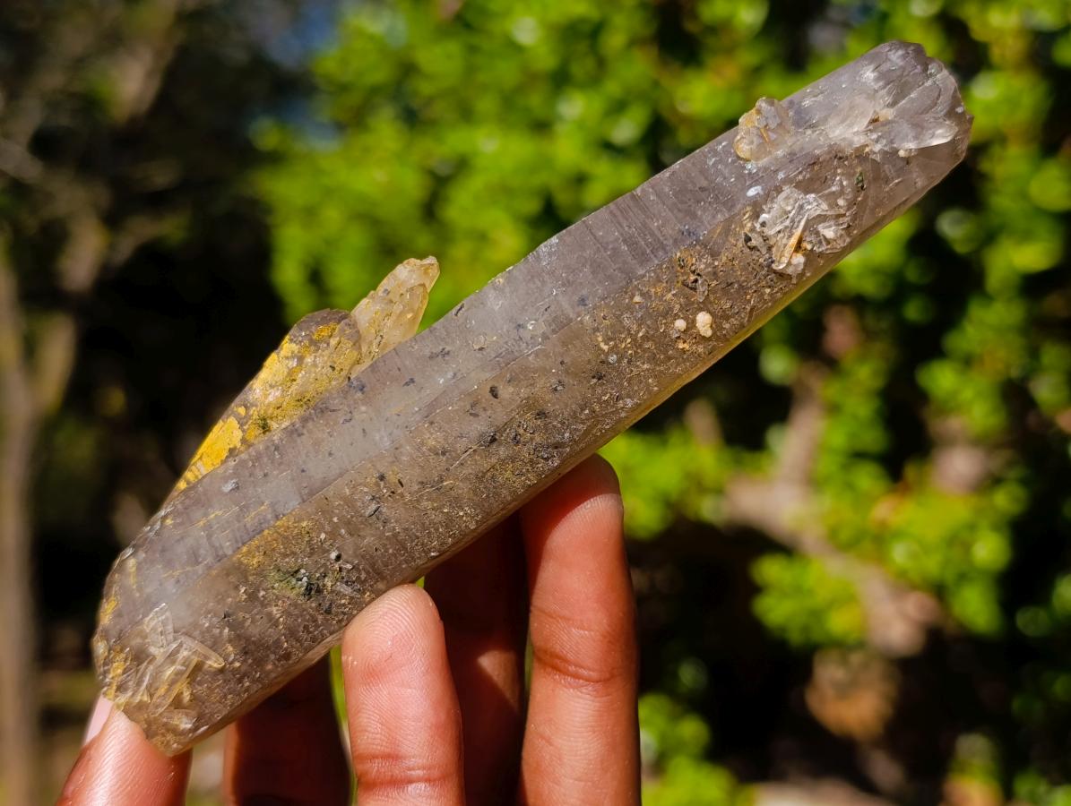 Natural Smokey Quartz Crystals x 13 From Mulanje, Malawi - Toprock Gemstones and Minerals 