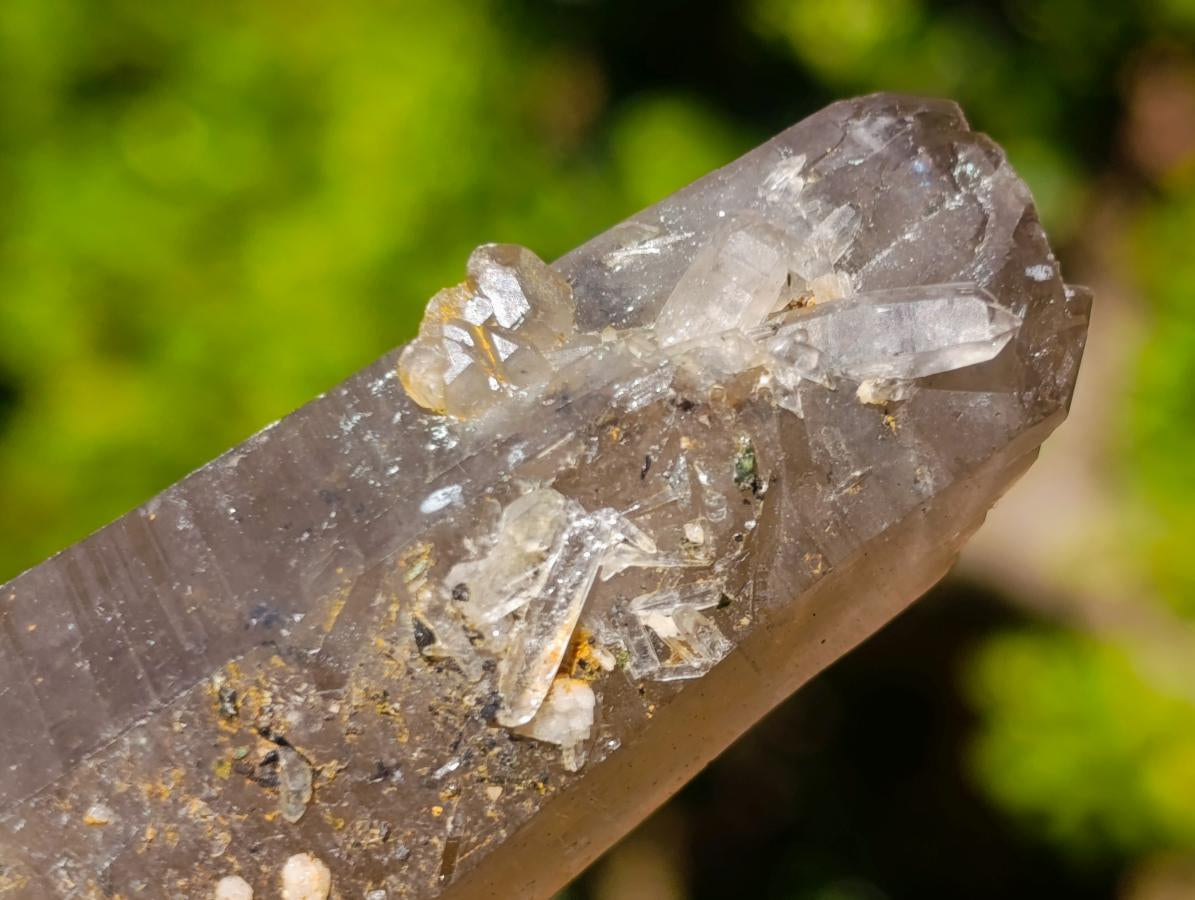 Natural Smokey Quartz Crystals x 13 From Mulanje, Malawi - Toprock Gemstones and Minerals 