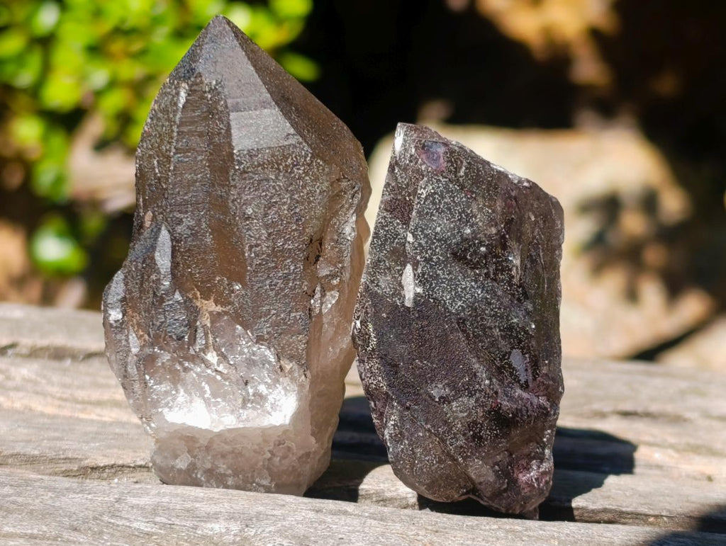 Natural Smokey Quartz Crystals x 13 From Mulanje, Malawi - Toprock Gemstones and Minerals 