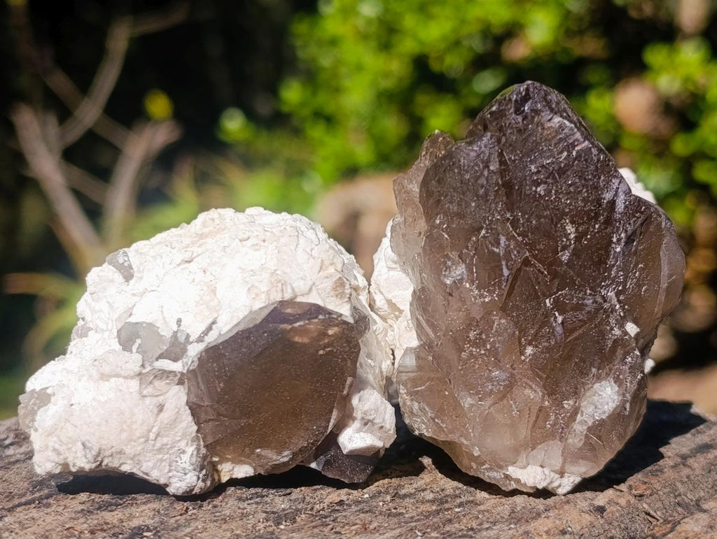 Natural Smokey Quartz Crystals x 13 From Mulanje, Malawi - Toprock Gemstones and Minerals 