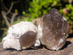 Natural Smokey Quartz Crystals x 13 From Mulanje, Malawi - Toprock Gemstones and Minerals 