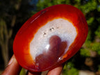 Polished Carnelian Agate Gemstone Bowls x 12 From Madagascar - Toprock Gemstones and Minerals 