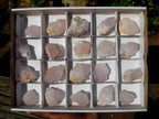 Natural Spirit Quartz Crystals x 20 From Boekenhouthoek, South Africa - Toprock Gemstones and Minerals 