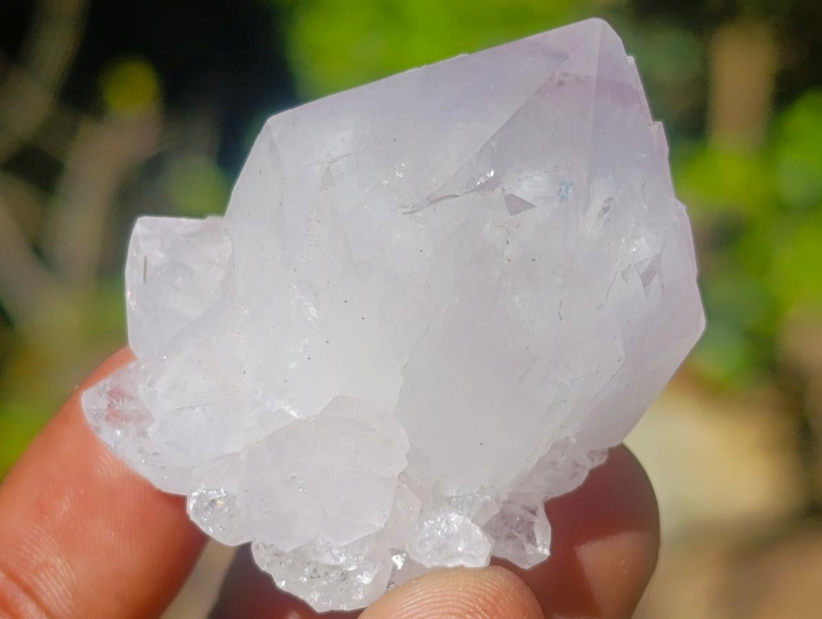 Natural Spirit Quartz Crystals x 20 From Boekenhouthoek, South Africa - Toprock Gemstones and Minerals 