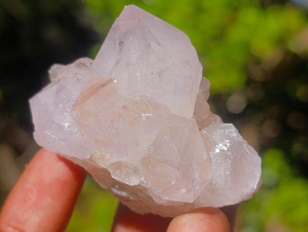 Natural Spirit Quartz Crystals x 20 From Boekenhouthoek, South Africa - Toprock Gemstones and Minerals 