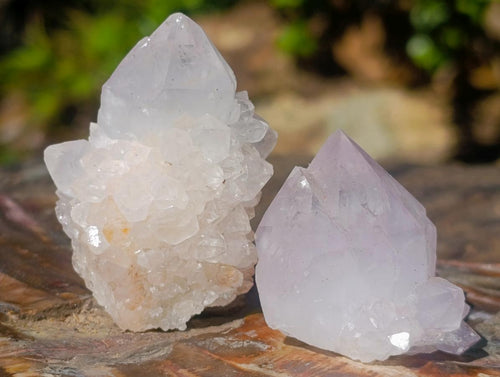 Natural Spirit Quartz Crystals x 20 From Boekenhouthoek, South Africa - Toprock Gemstones and Minerals 