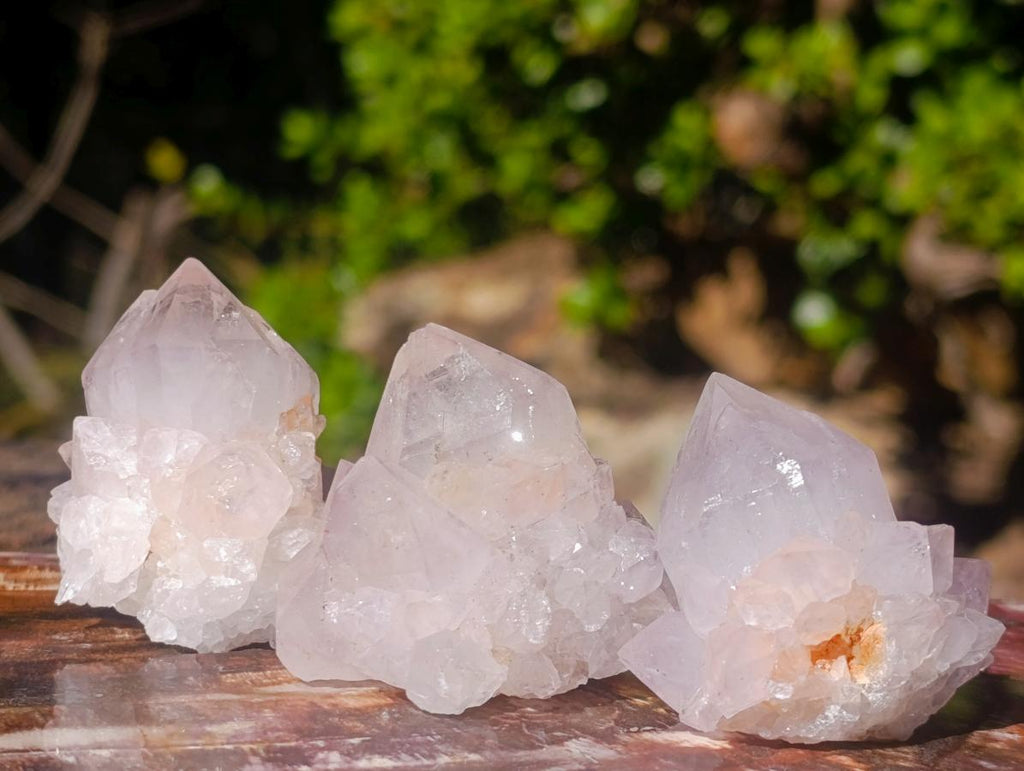 Natural Spirit Quartz Crystals x 20 From Boekenhouthoek, South Africa - Toprock Gemstones and Minerals 