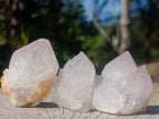 Natural Spirit Quartz Crystals x 20 From Boekenhouthoek, South Africa - Toprock Gemstones and Minerals 
