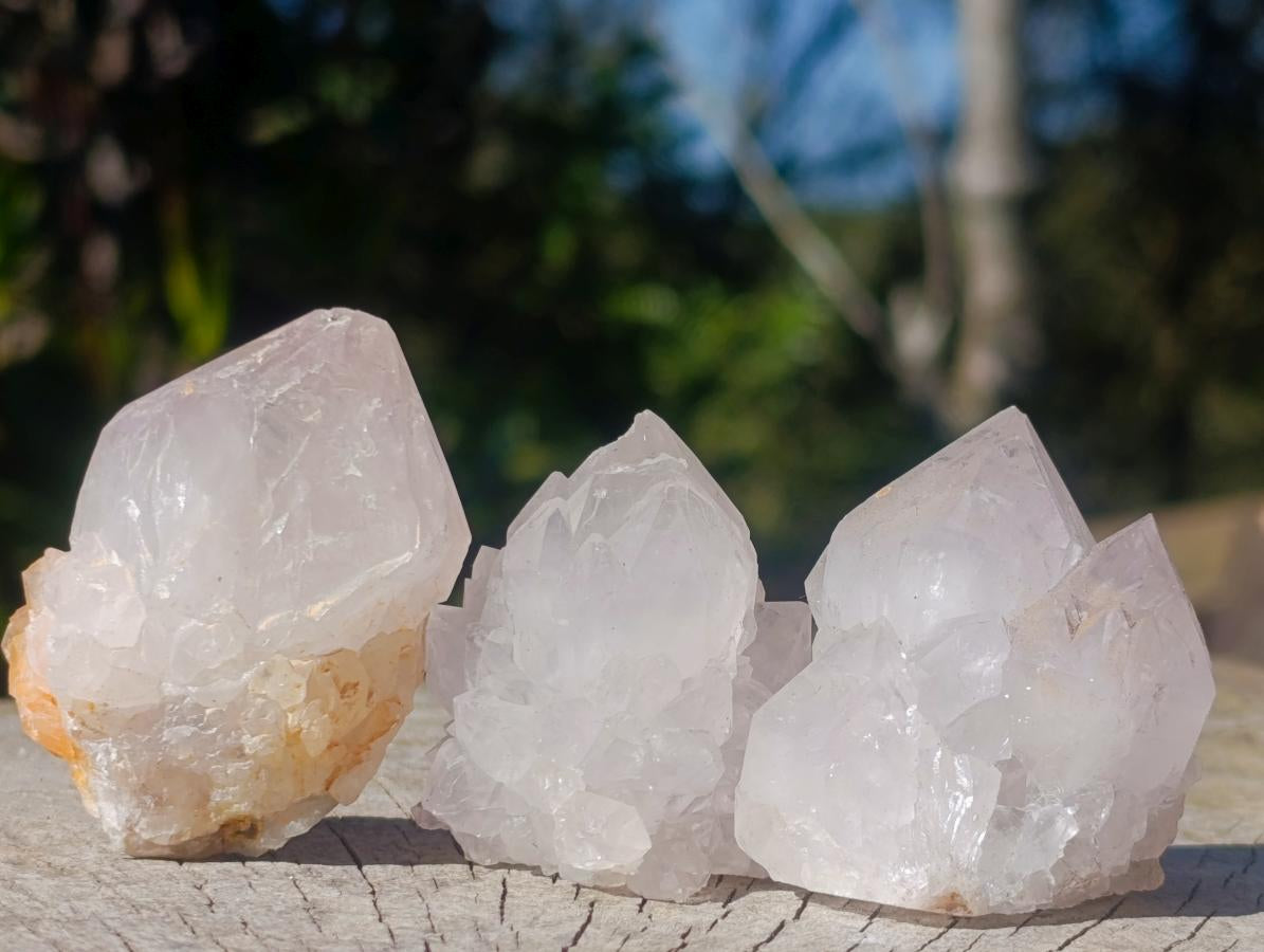 Natural Spirit Quartz Crystals x 20 From Boekenhouthoek, South Africa - Toprock Gemstones and Minerals 