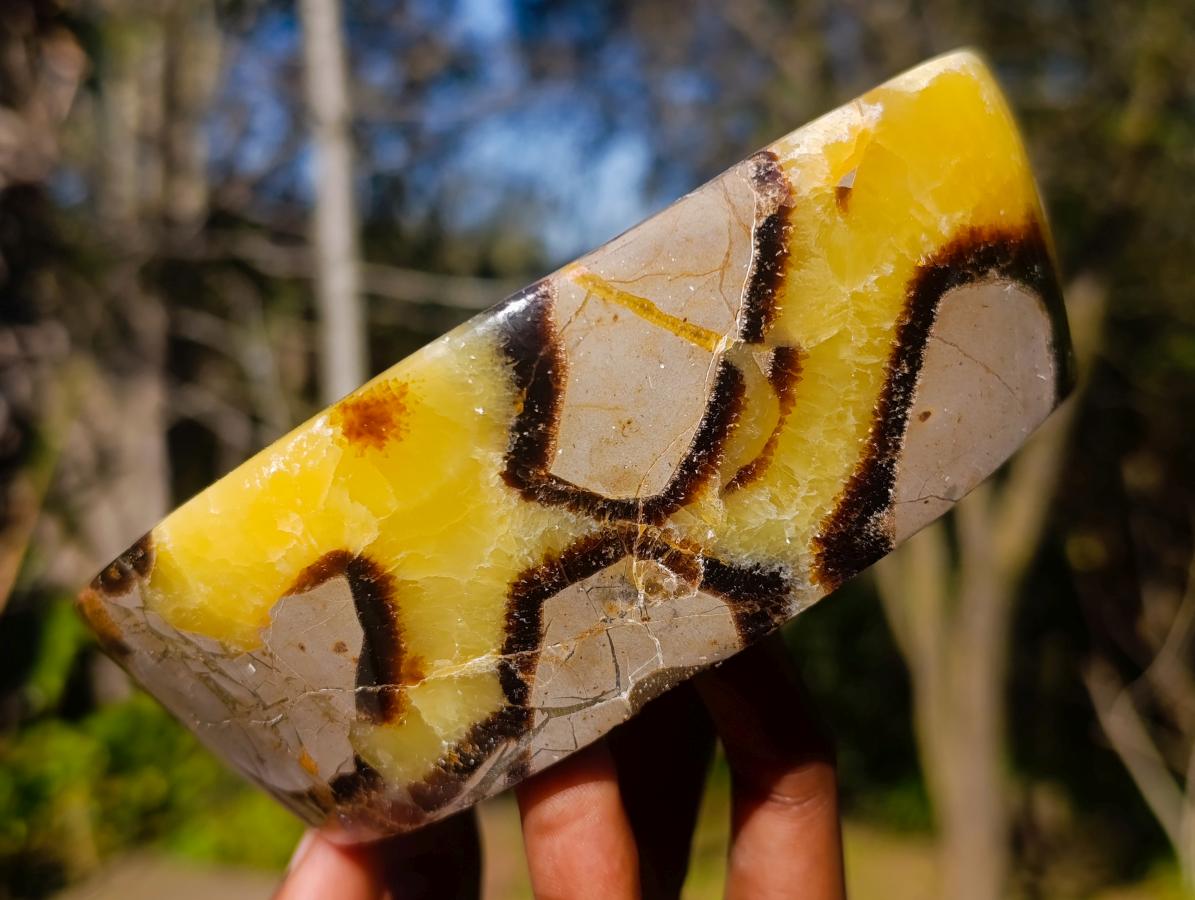 Polished Septerye Bowls x 2 From Mahajanga, Madagascar - Toprock Gemstones and Minerals 
