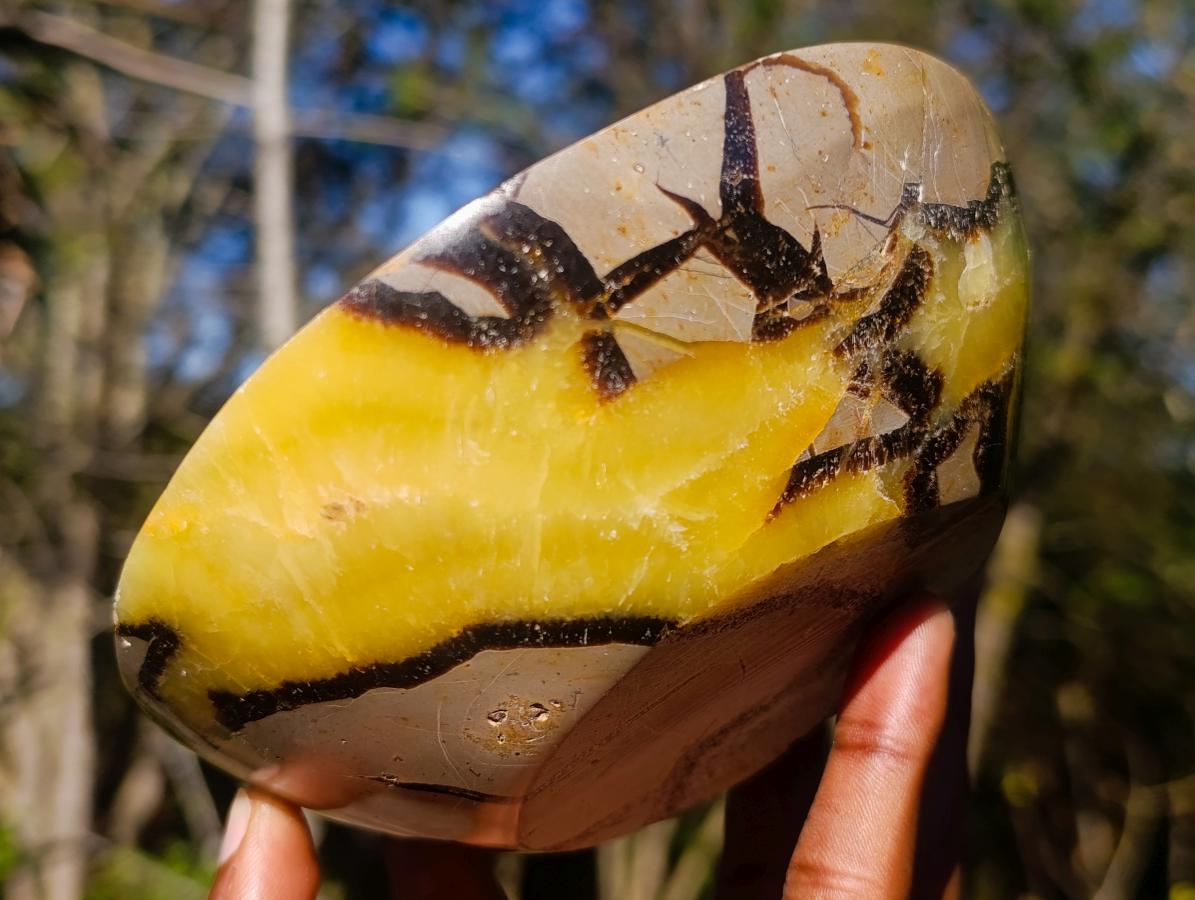 Polished Septerye Bowls x 2 From Mahajanga, Madagascar - Toprock Gemstones and Minerals 