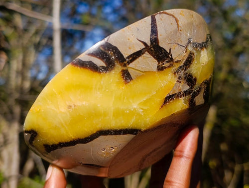 Polished Septerye Bowls x 2 From Mahajanga, Madagascar - Toprock Gemstones and Minerals 