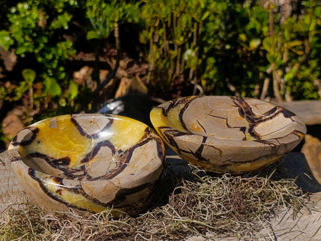 Polished Septerye Bowls x 2 From Mahajanga, Madagascar - Toprock Gemstones and Minerals 