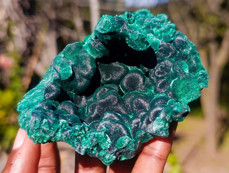 Natural Cabinet Size Silky Malachite Specimens x 6 From Kasompe, Congo - Toprock Gemstones and Minerals 