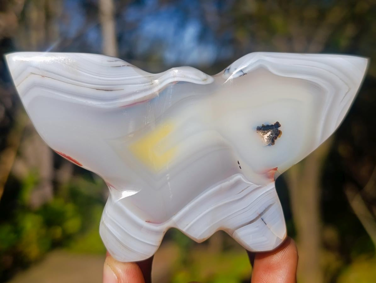 Polished Agate Butterfly Sculptures x 4 From Madagascar - Toprock Gemstones and Minerals 