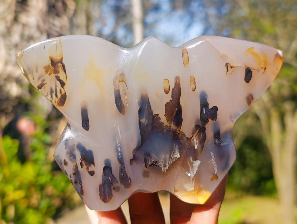 Polished Agate Butterfly Sculptures x 4 From Madagascar - Toprock Gemstones and Minerals 