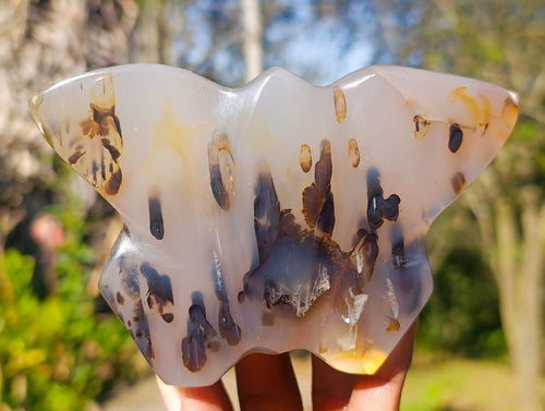Polished Agate Butterfly Sculptures x 4 From Madagascar - Toprock Gemstones and Minerals 